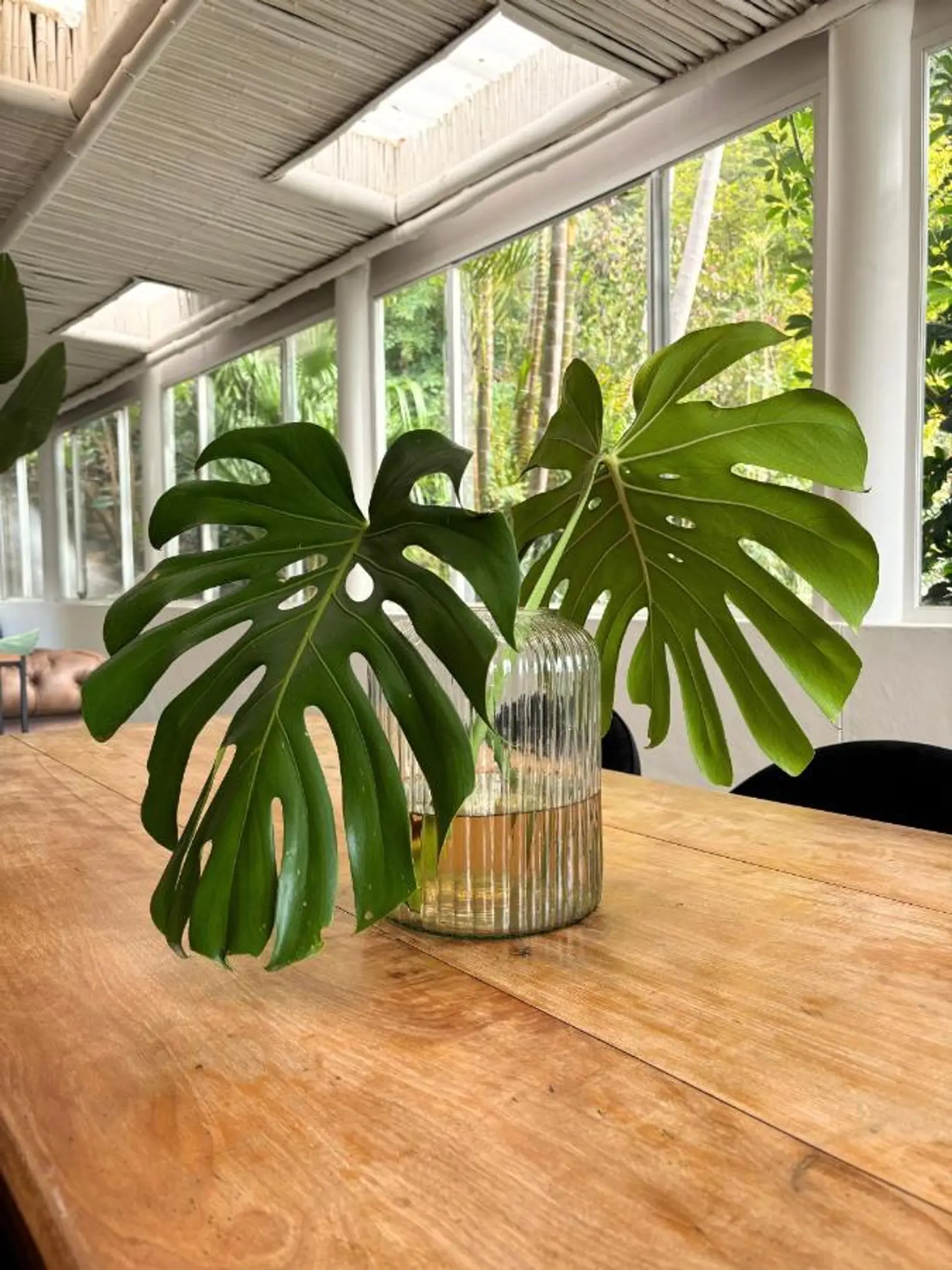 Decorative delicious monster in dining area